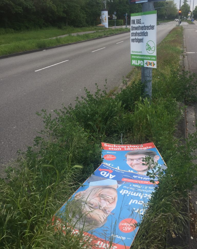 Zerstörte Wahlplakate der AfD in Karlsruhe