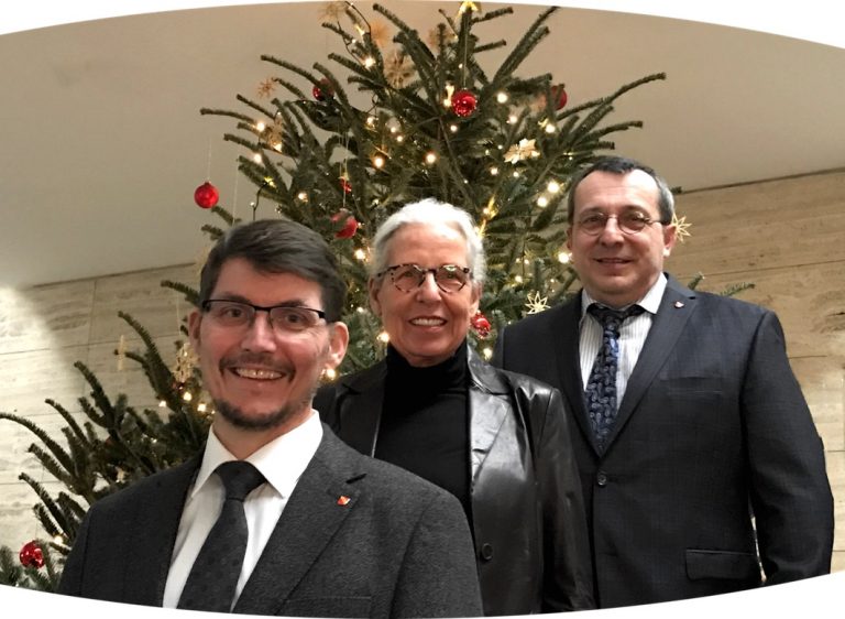 Bild Stadträte Weihnachtsbaum